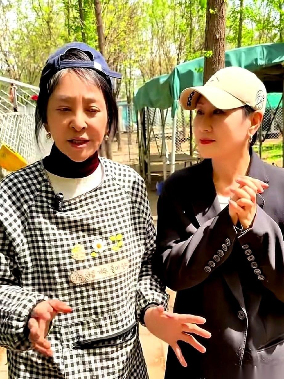 李勤勤估计也没想到，张凯丽说要来她的流浪狗基地，还真就来了。车门一开，一股混着