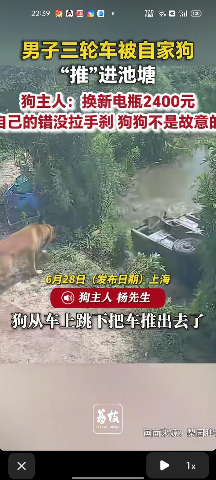 6月28日，上海。网友发视频称，自己刹车没刹，狗子从车上跳下把车推进池塘里了，最