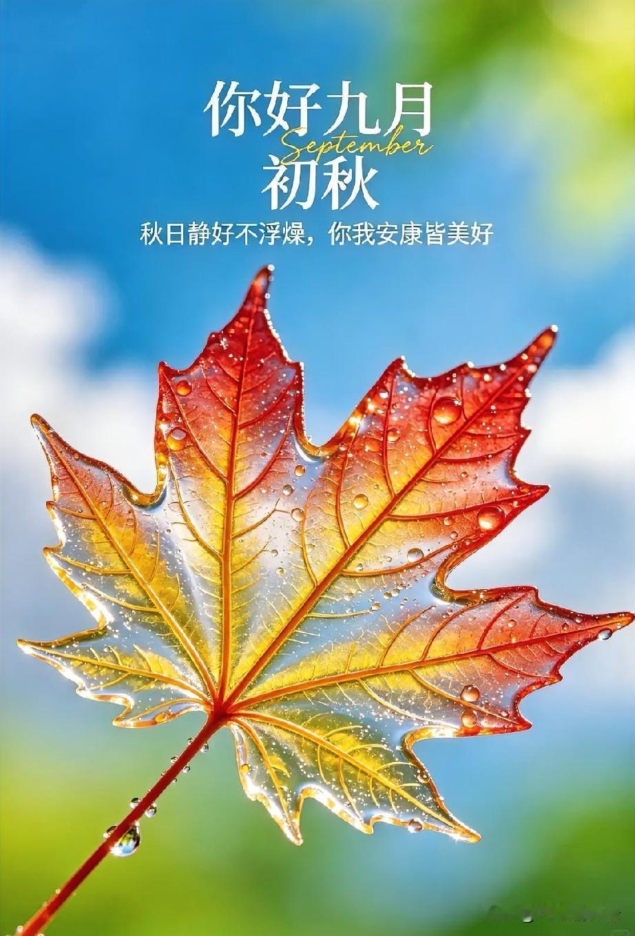 世间常听人谈及命运二字。有人相信冥冥之中自有定数，承认有天时、机缘、出身这些人力