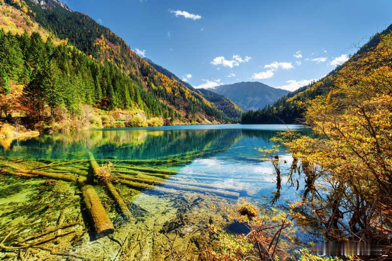 消息一览：1. 摩尔线程：首次公开发行股份数量为7000万股，发行价格114.2