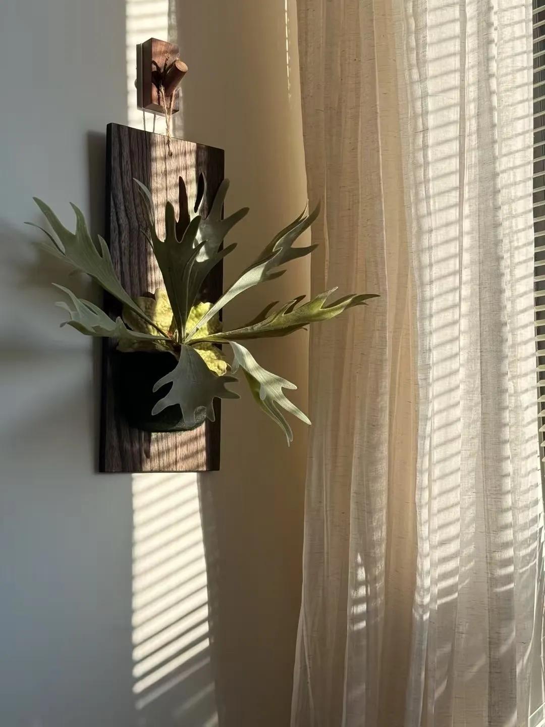 和人交往，你看重的是人品还是金钱和人交往，我最看重的是一个人的人品，一个人人品有