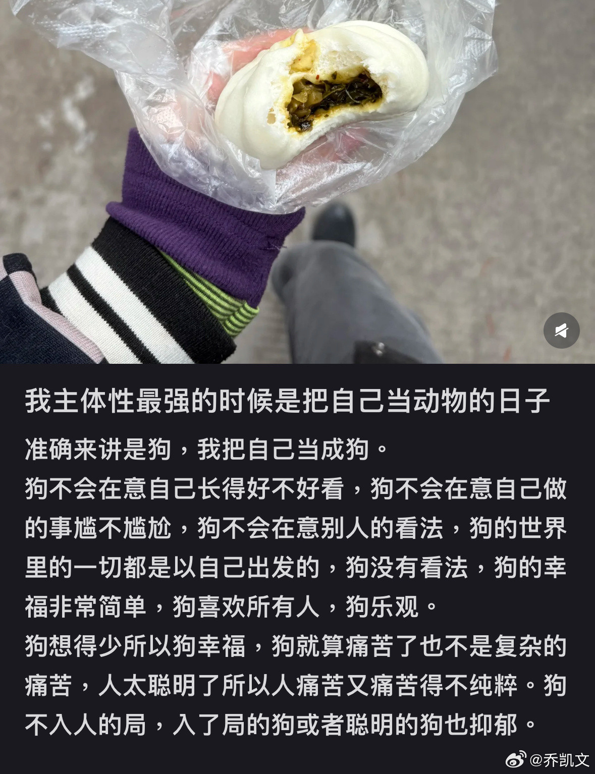 醍醐灌顶我要当一只蠢狗​​​