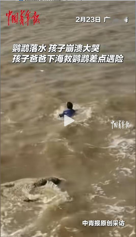 “鹦鹉难道比人还重要？”2月23日，广东珠海，一孩子站在海边的岩石上，哭的撕心裂