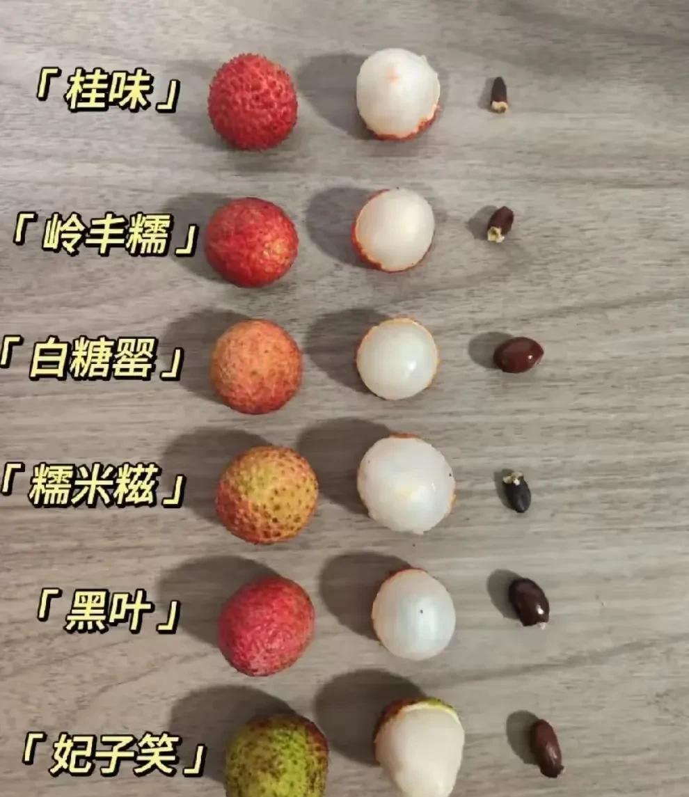 又长见识了，原来荔枝竟然有这么多的品种！在我的印象里，荔枝就是荔枝呗，长的不都