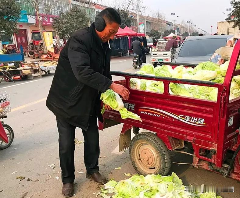 大白菜的确掉价了。今天是星期六，是我们这儿大集的日。今天在集上买了3棵白菜，