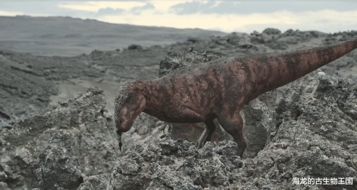 这些年幼的伊希斯龙依旧博冠体育面临诸多危险