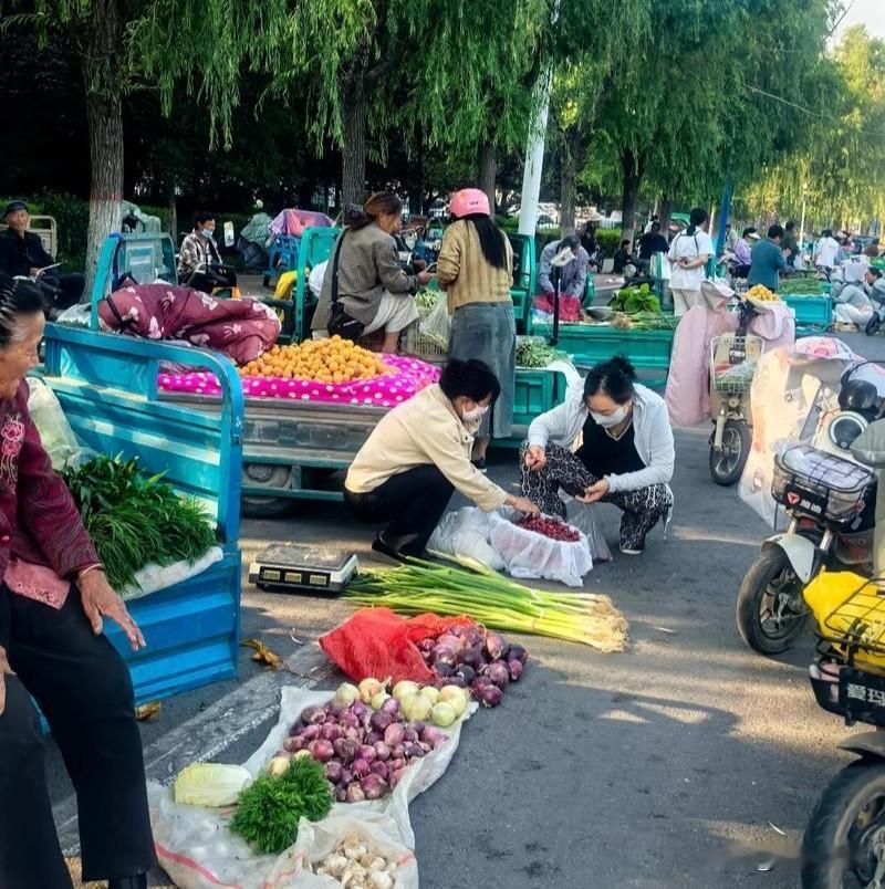 在宣化早市上，看见一个菜农老头在马路牙子上边摆着豆角、西红柿、青椒、老西葫芦等蔬
