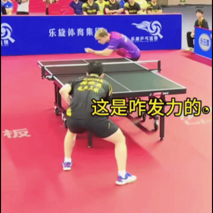 林诗栋输给小莫后，球迷纷纷出招，让他看看樊振东怎么打小莫的。我看了一下，