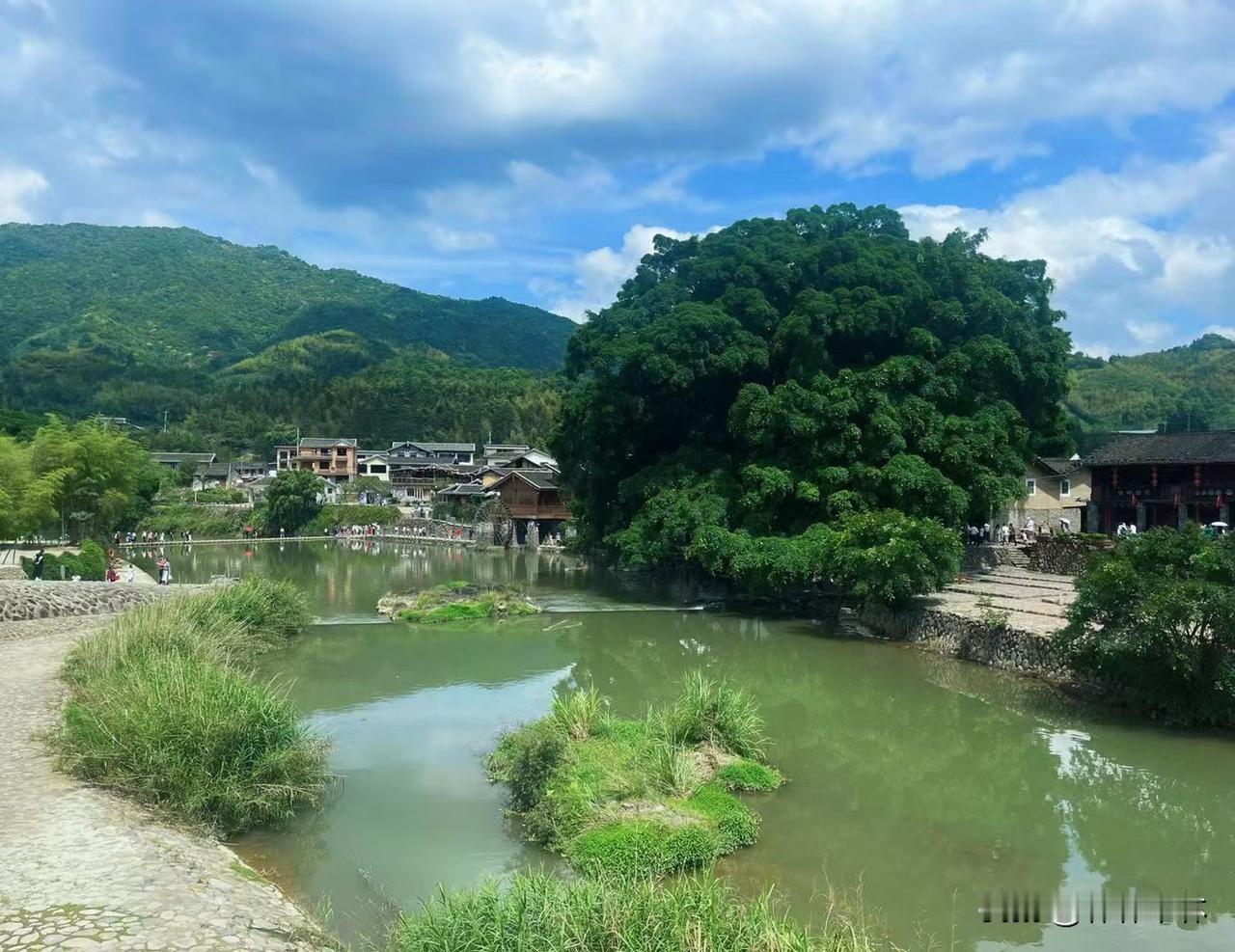 我二叔我姑姑那是出了名的扣搜，这一点我非常的看不惯说个我觉得非常搞笑的事，我