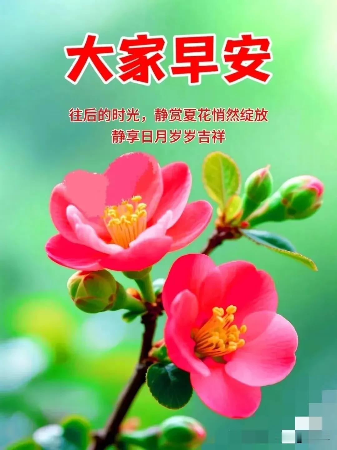 醒来问候心情好，开心快乐人不老；生活甜蜜乐逍遥，平安幸福身体好。[比心]