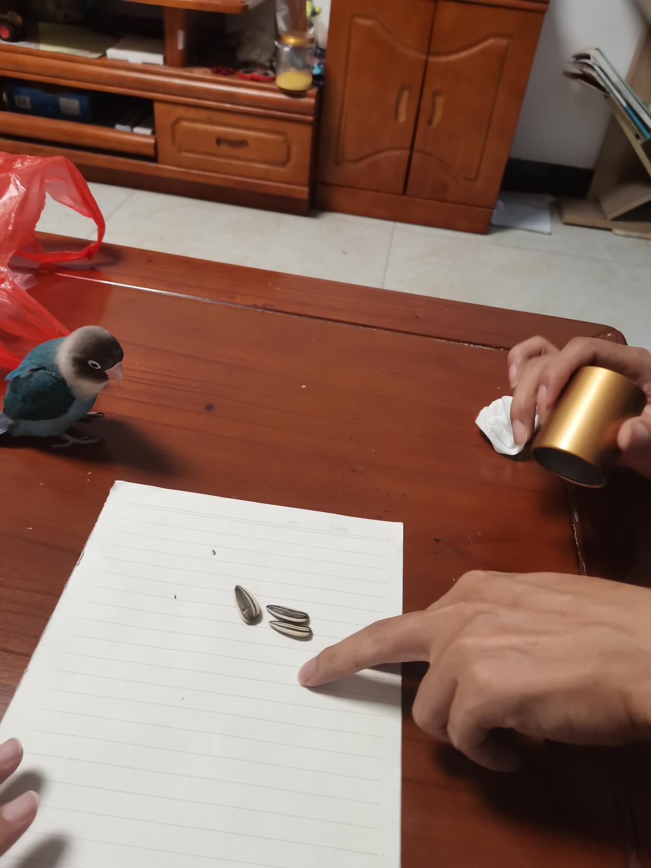 就像中国有很多的企业进入世界500强一样，那有什么意义呢？我们是掌握了世界上最先