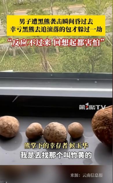 “这就是命啊！”近日，云南丽江，一男子上山采药，结果撞到了一头500斤的黑熊，男