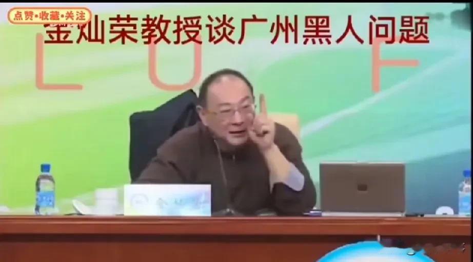 金灿荣:外国人（黑人）非法移民问题，必须要高度重视起来了！金灿荣教授在一