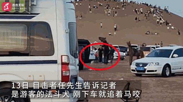 “这下后悔了吧！”8月10日，宁夏中卫，一女子带狗去景区玩，可是刚下车，狗就冲着