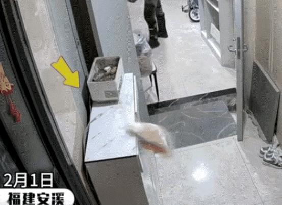 “福建这个女孩火了！”16岁女孩点了一杯奶茶，外卖小哥送到后，将奶茶放在女孩家门