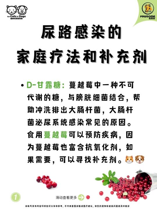 尿路感染的家庭疗法和补充剂