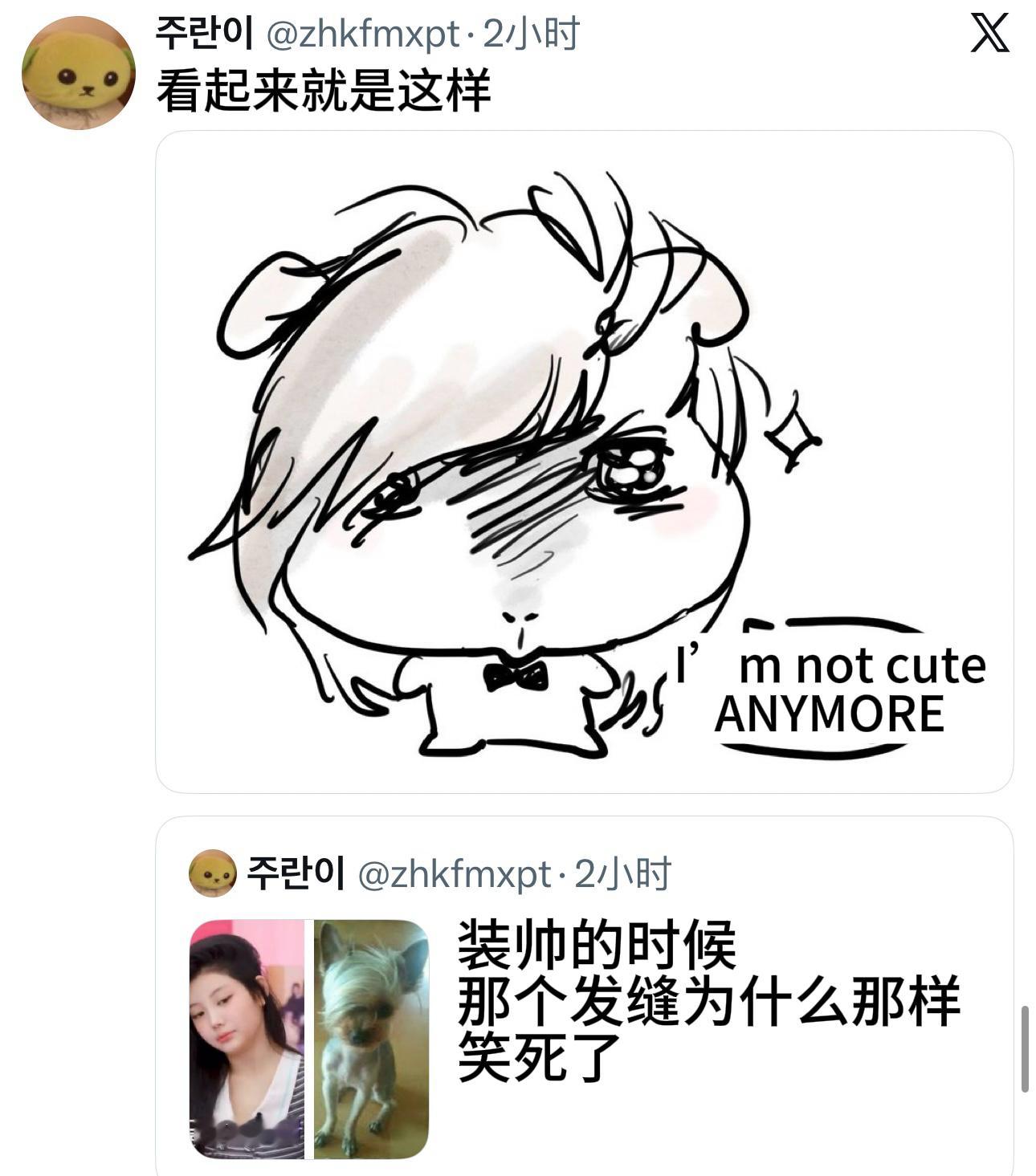 耍帅豚鼠一枚(｡ì_í｡)