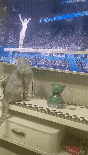 我就是问问在猫咪的世界里电视是什么颜色的呢？