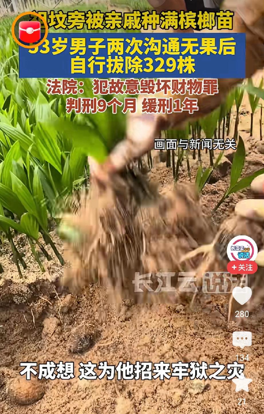 也就是说这个人的拔了至少两亩地。