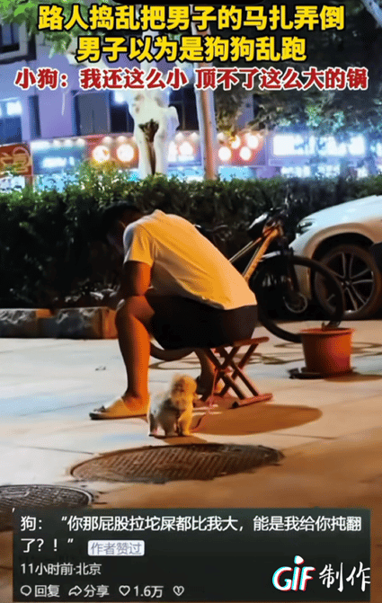 笑不活了！山东，男子把狗狗拴马扎上带着狗狗在街里等人，当时男子坐马扎上，路人捣乱