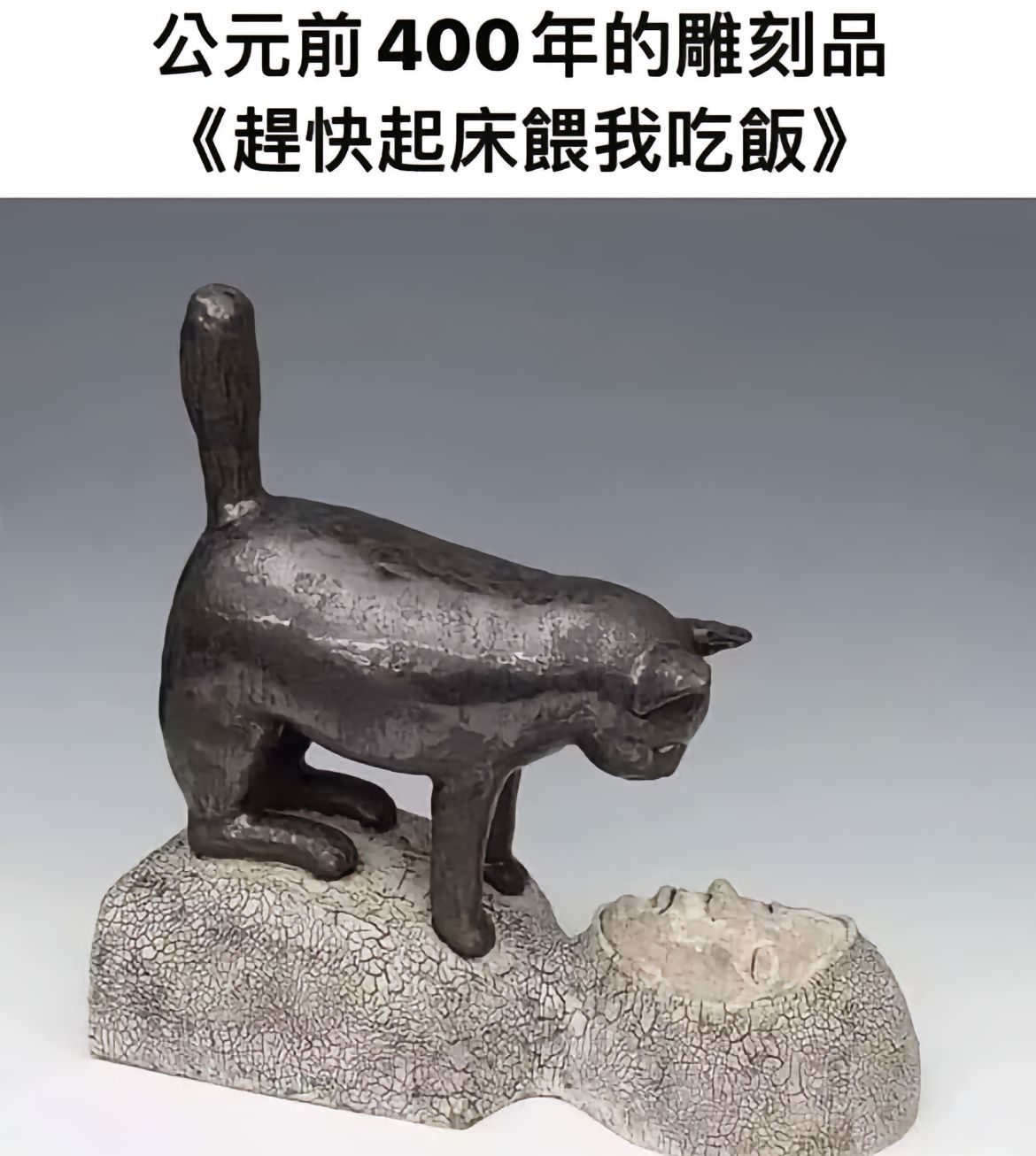 “小猫统治地球已经长达400年之久”[doge]