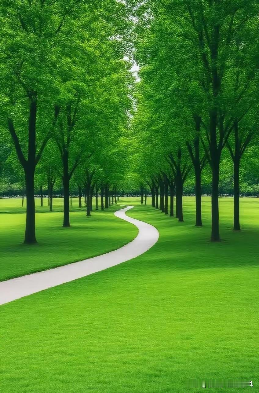 班主任遵照年级部要求，给我分配了一名高考临界生，嘱咐我平时多留意，期望能提升他薄