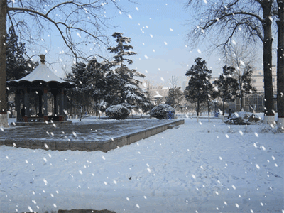 洛阳的这场雪是吓大雪，不是下大雪，天气预报前几天就预报有大雪，局部地区有暴雪，这