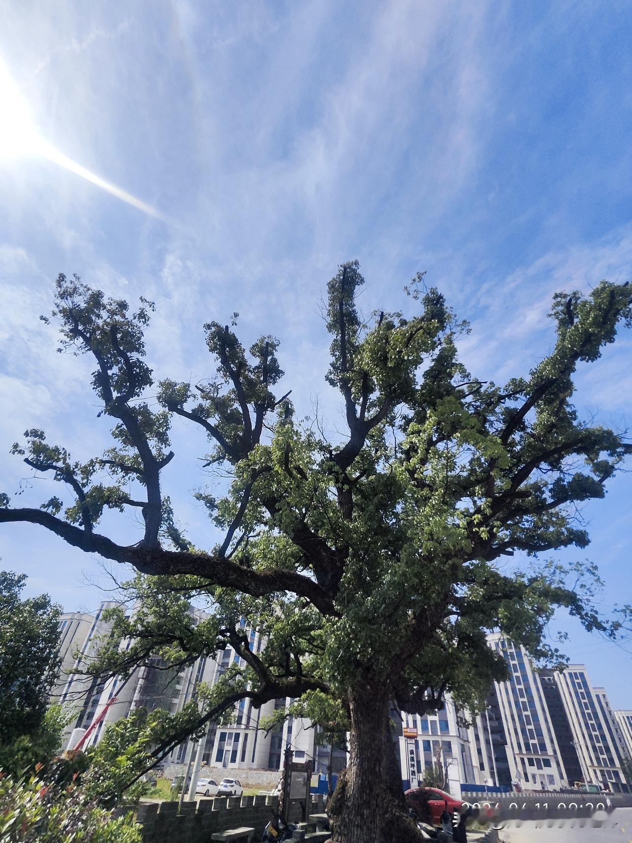 “把‘关我屁事’刻进心里后，我的日子舒服多了”我有个远房姑姑，年轻时是村里出了