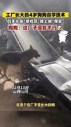 “已经有班味了[捂脸哭]”12月13日，山西朔州，武女士有一家饲料加工厂，四年前收