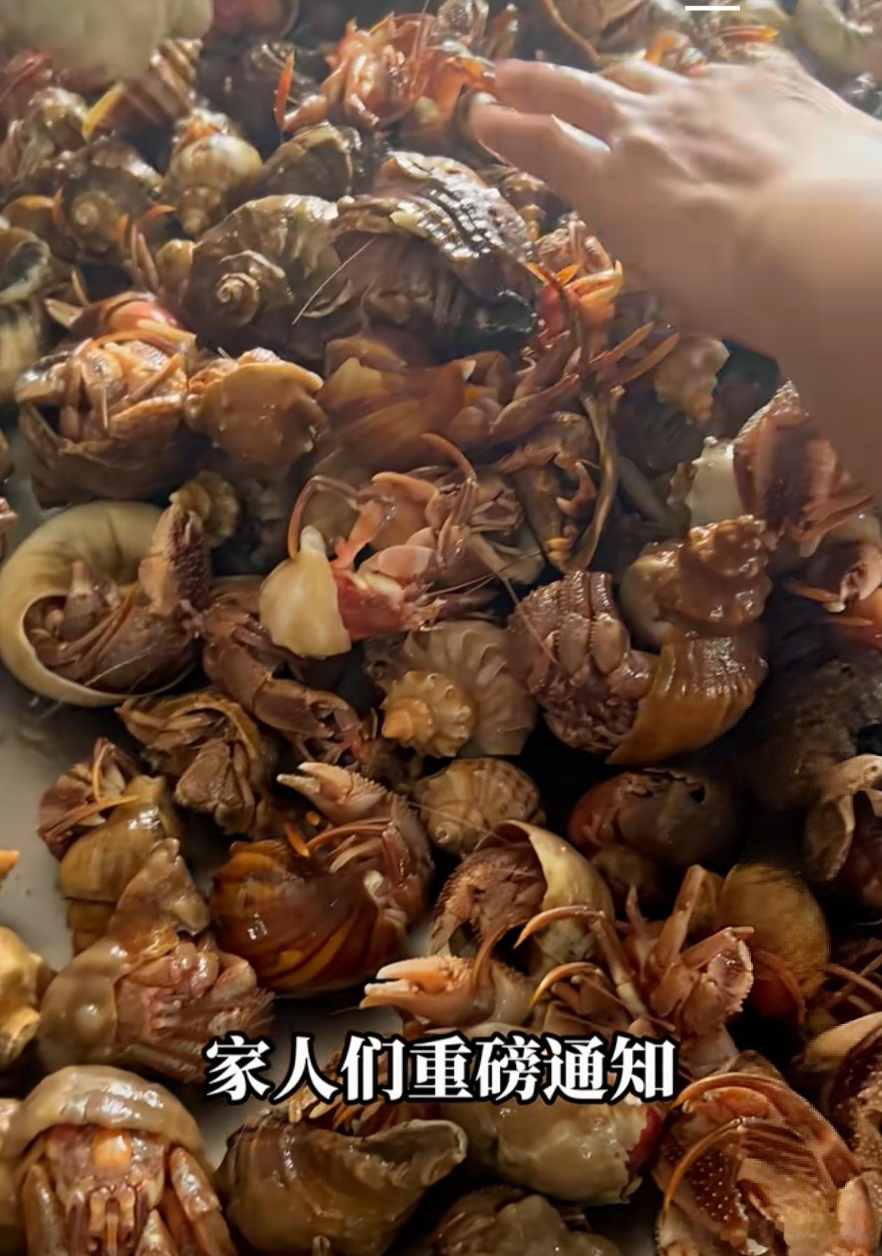 寄居蟹好吃吗？​​​