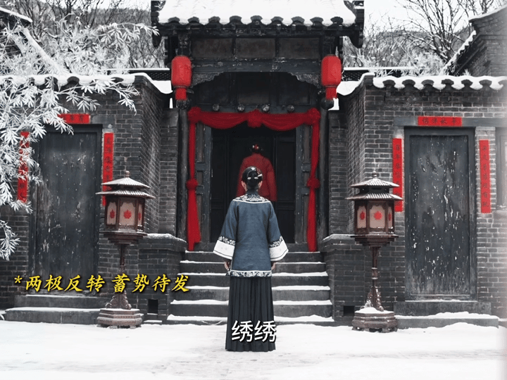 秦海璐演技代入感秦海璐的演技真的没话说，费左氏被她演得有血有肉，让人又爱又叹，