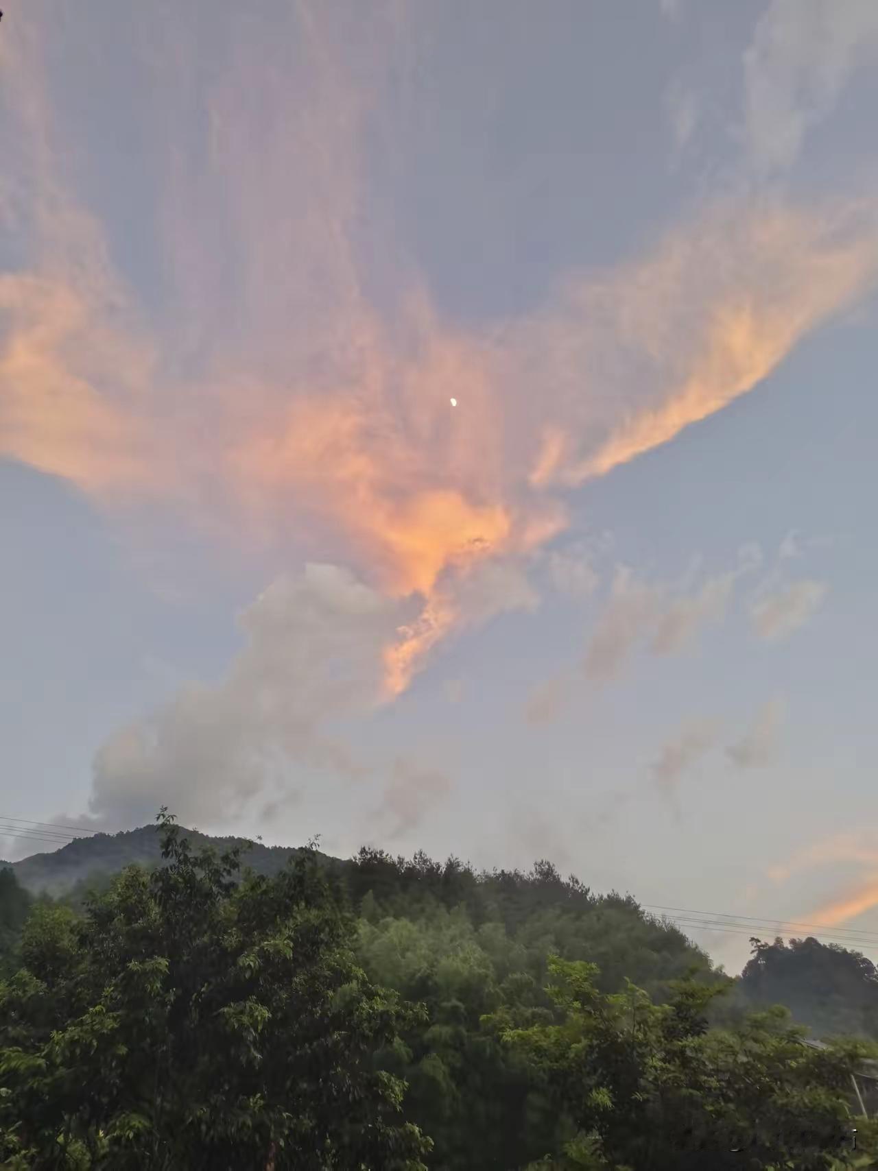 为啥总盯着电动车抓？看完这几条扎心的“罪名”，你就懂了！有人说电动车让公交