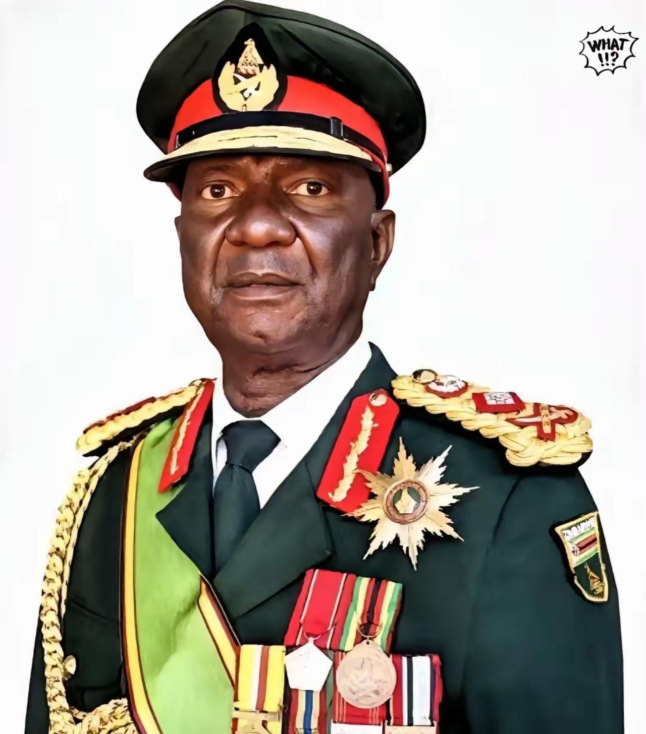 这世道真是变了，刚看到李嘉诚在巴拿马吃瘪，津巴布韦这边转头就给咱们上了一课。