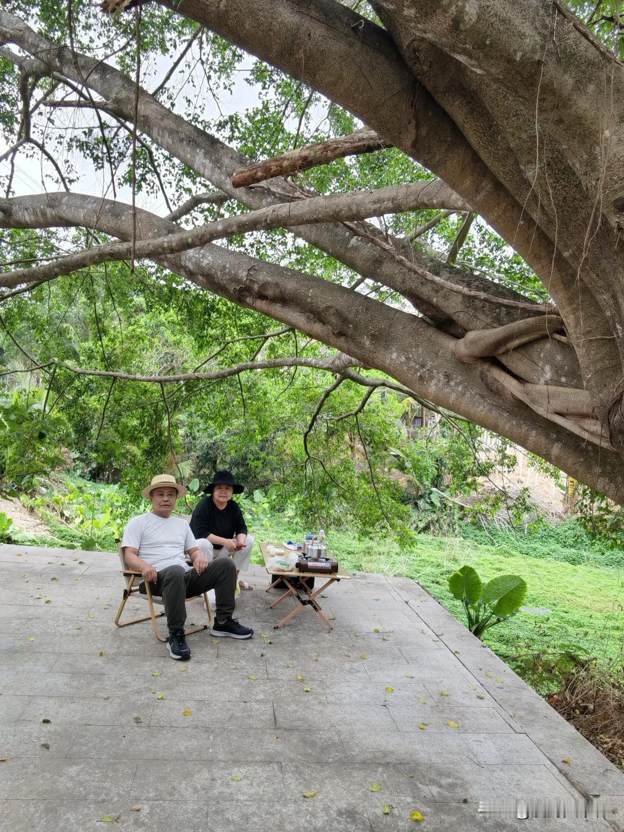 海南…自驾游第26天，进山煮茶离开陵水酒店，边走边玩，开车近两个小时来到陵水吊