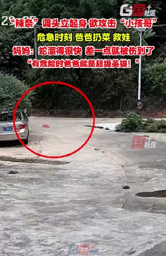 太吓人了！广东惠州一男子出去买菜回来，正准备拿菜回家做饭，万万没想到他的孩子在院