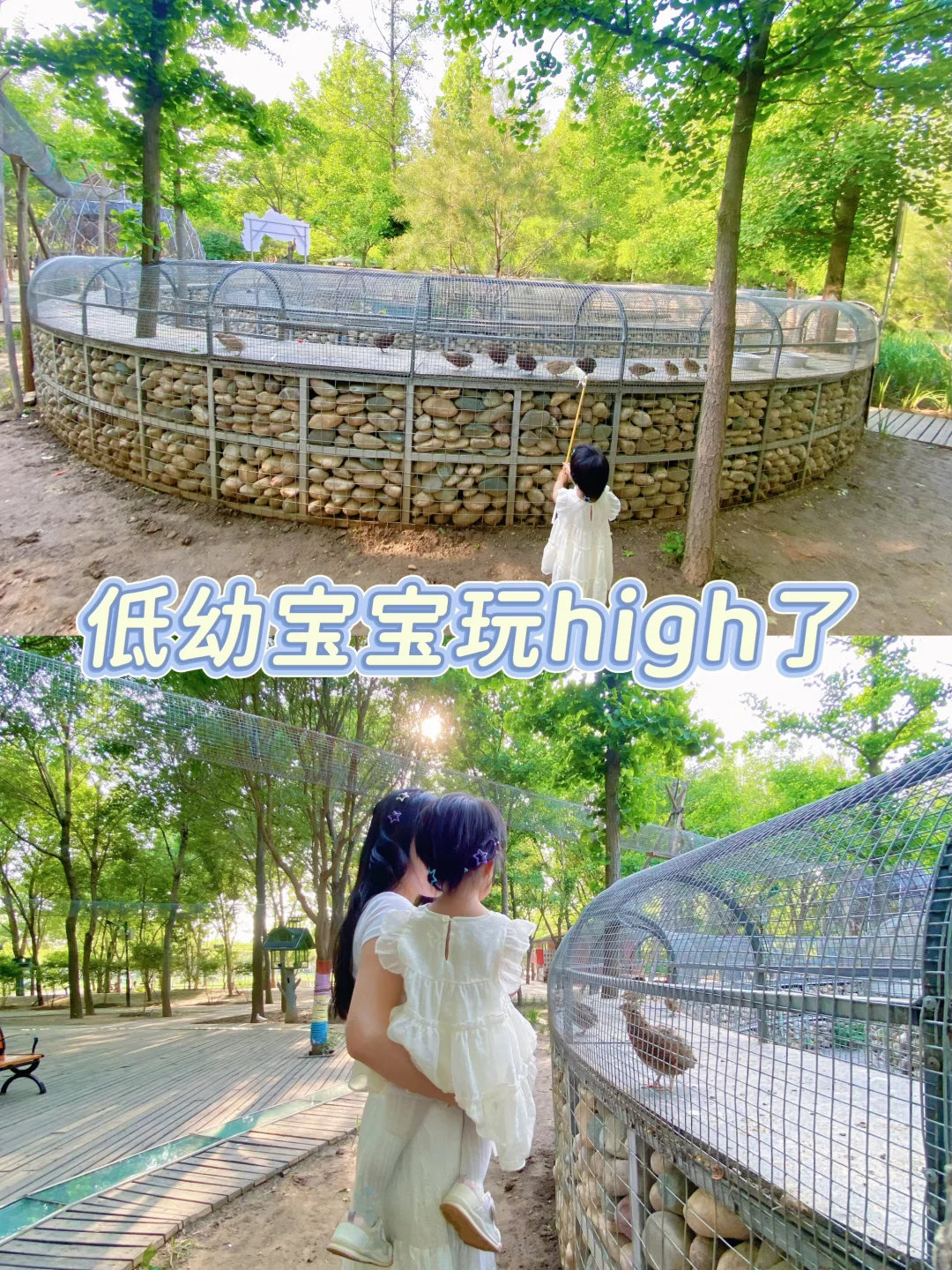 动物奇遇记动物奇趣带娃来这儿玩一天才29.9？还含喂食包！散养的羊驼超温顺，