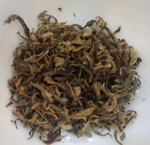 非茶科植物的老鹰茶，凭“先苦后甘”的独特风味成新版“折耳根”，爱憎两极分化。它是