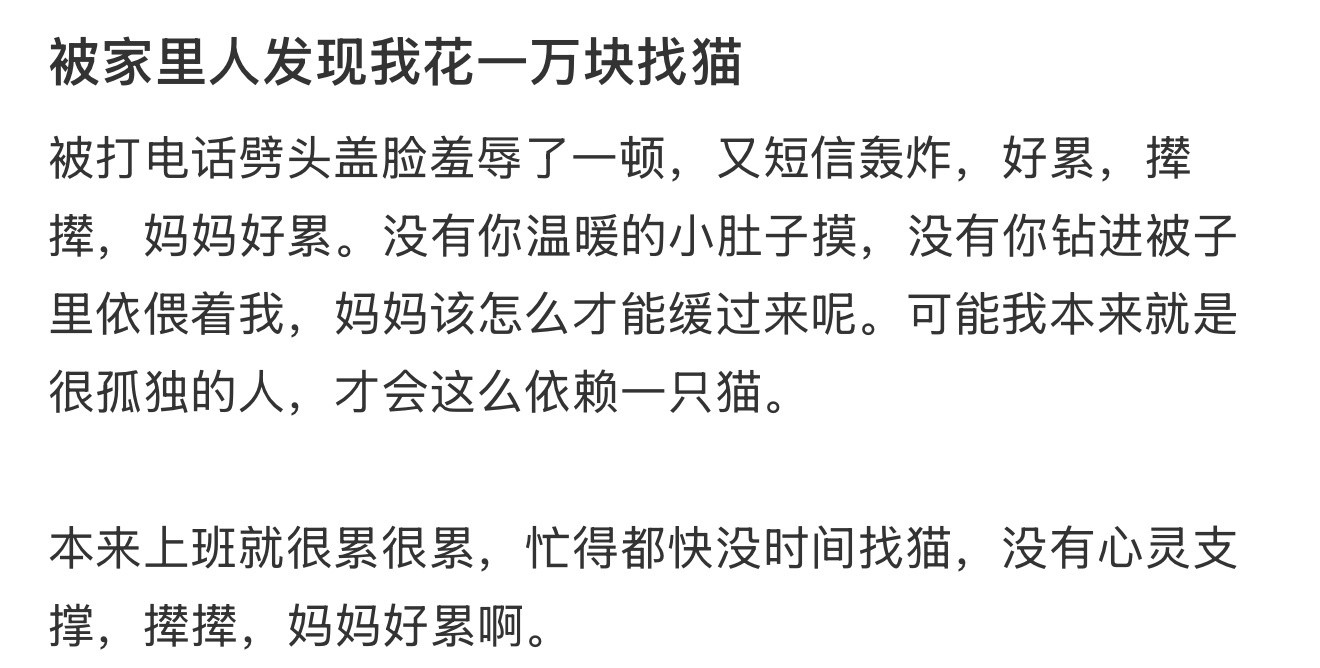 被家里人发现我花一万块找猫​​​