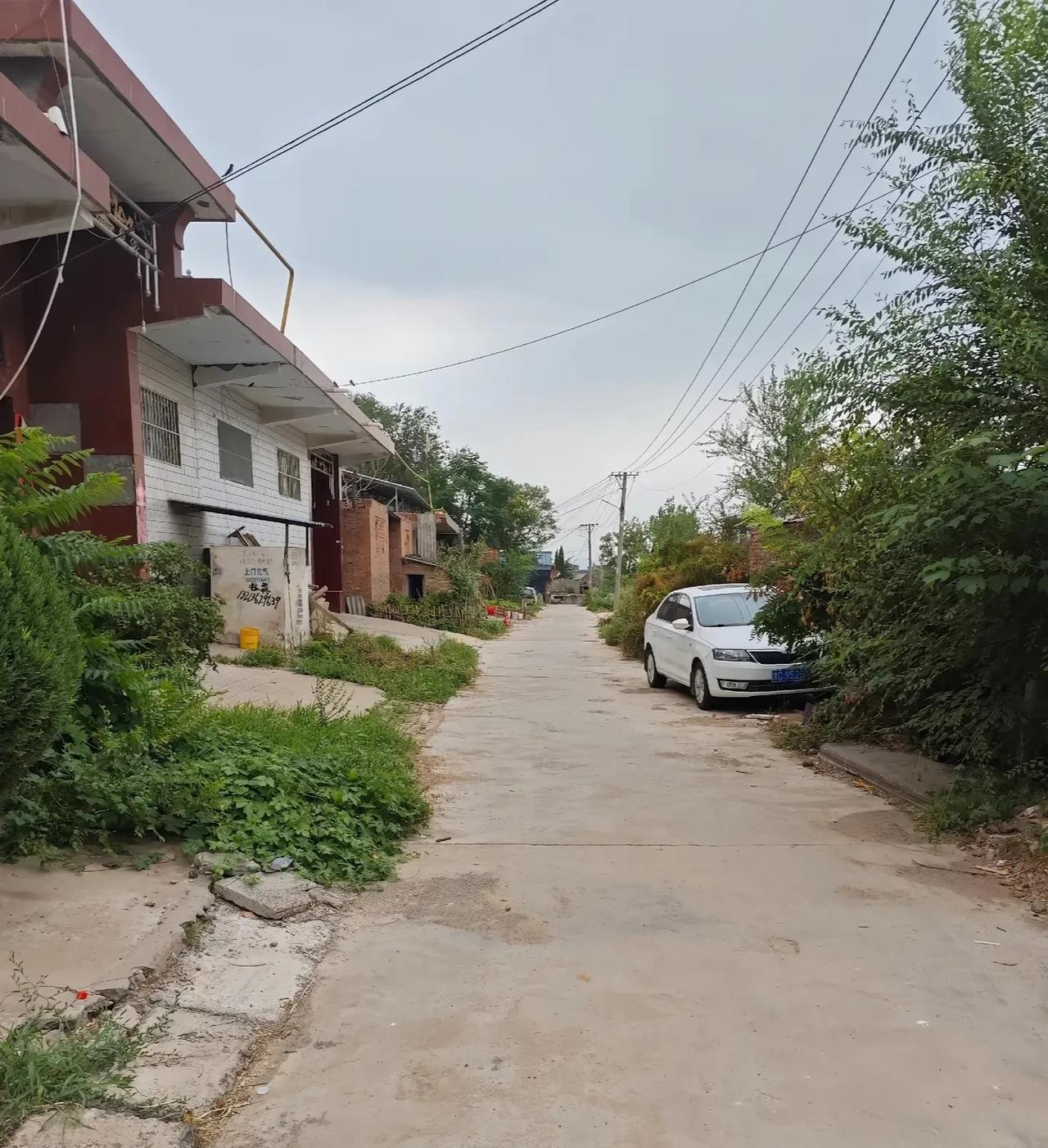 当初我隔壁的一个小女孩，嫁给了县城的一个男孩子，那男孩子比小姑娘大12岁，是我姑