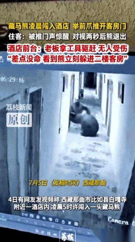 凌晨五点多，西藏那曲，酒店房间的门，咔哒，开了。门口站着的，不是查房的，是一头