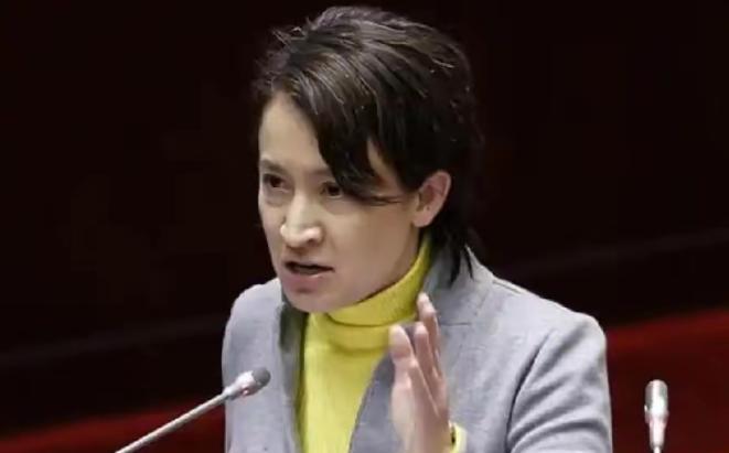 今天，箫美琴恼羞成怒，终于忍不住发话了！1月29日，箫美琴对媒体说:“国民党