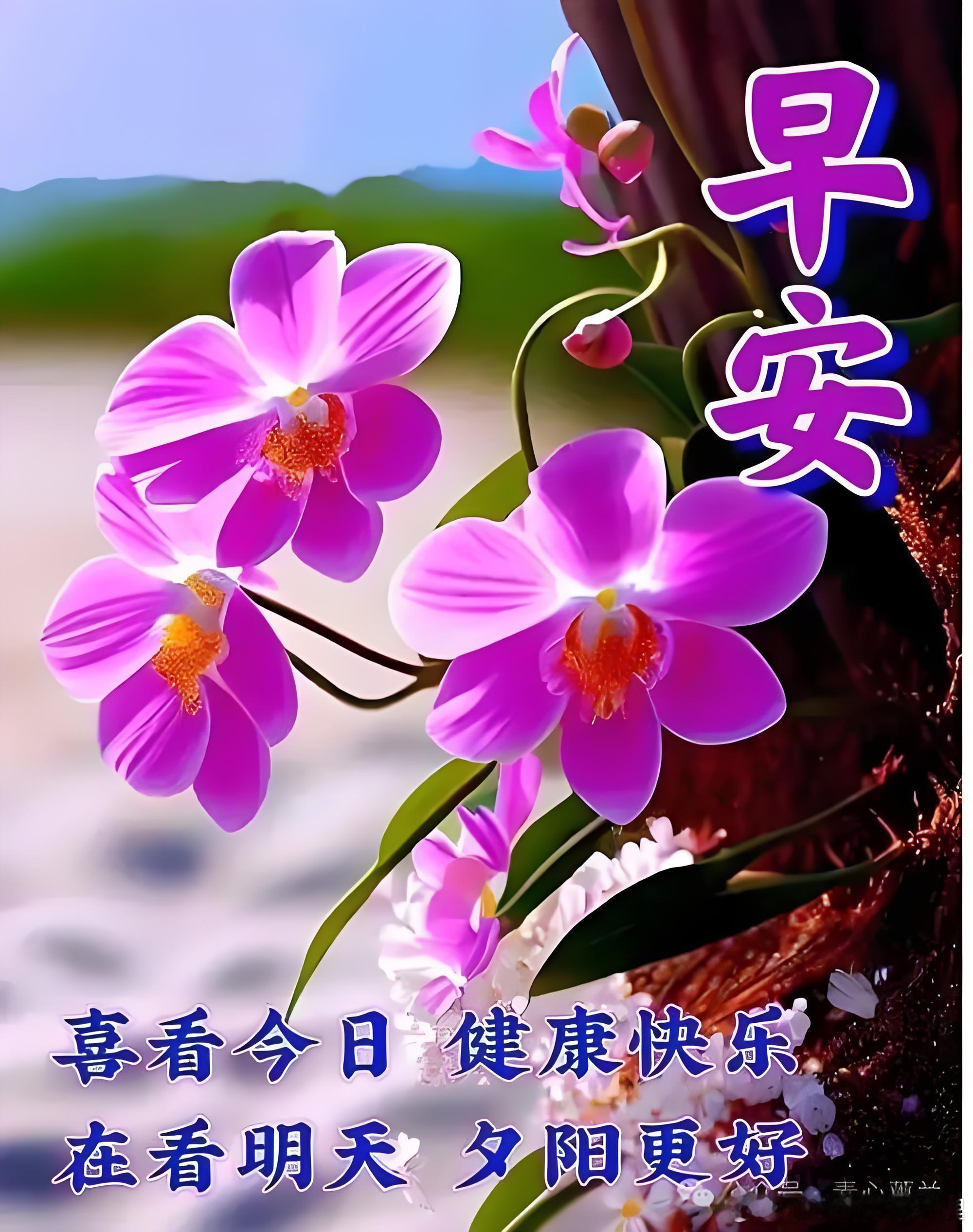 小运播报：2026年6月19日，星期五，农历五月初五(丙午年甲午月甲子日)，法定