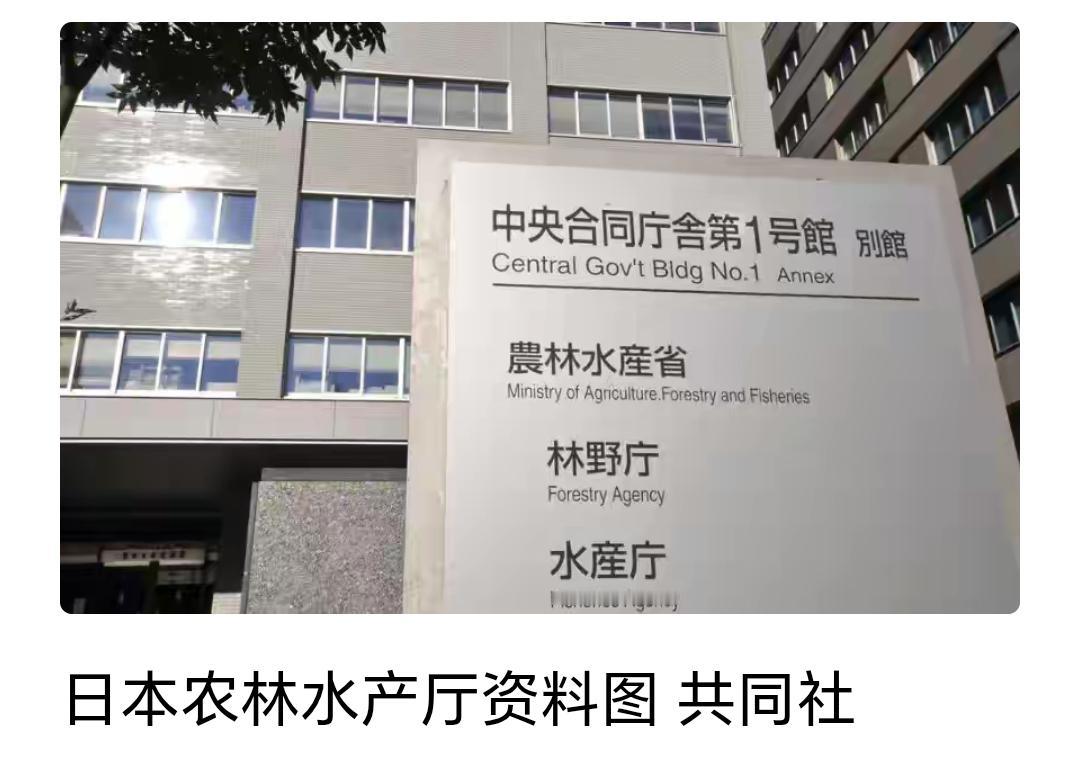 日本农林水产厅这么快就放人了？[滑稽笑]这是烫手山芋啊，可能他们农相头都大了，你们