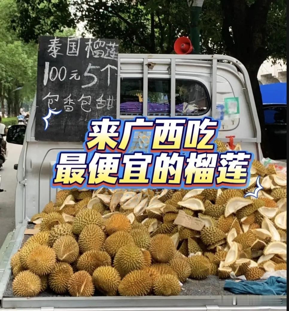 太香了！泰国榴莲坐高铁26小时到昆明，价格直接打下来了，挑选技巧一并拿走你发