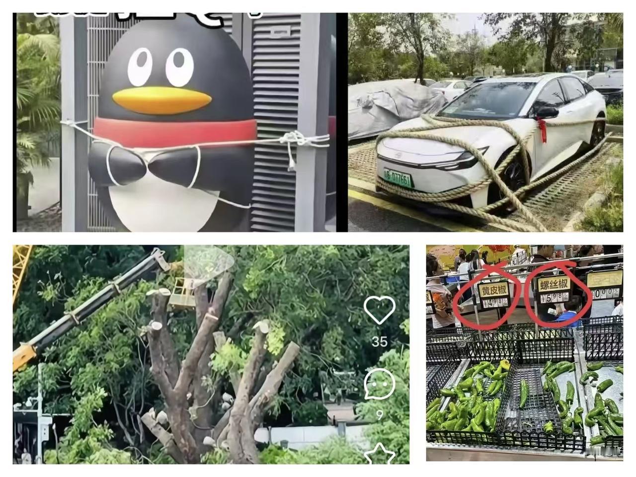 台风告诉我们一个真相广东人面对台风熟练的不要不要的，剩下的就是一切顺其自