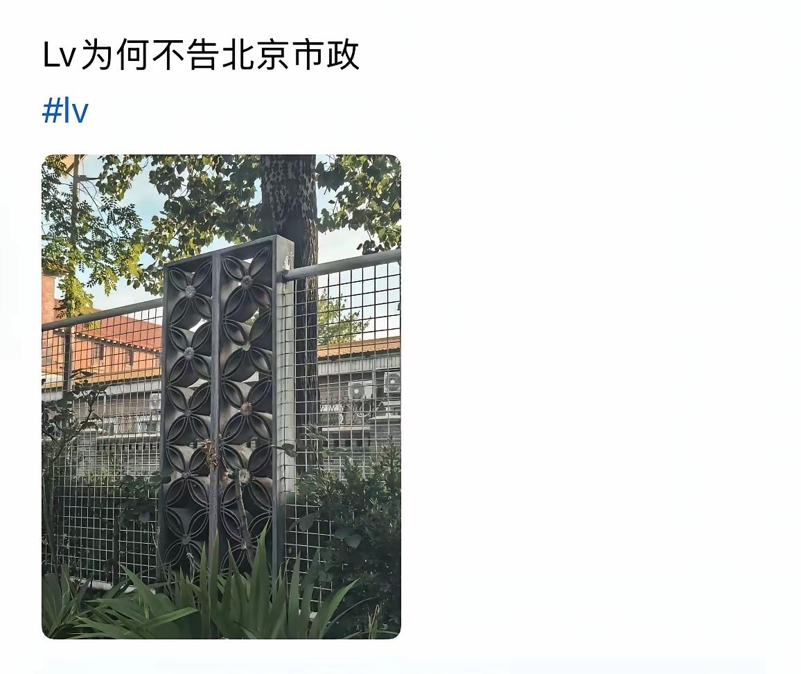 LV：谢谢您的提示，等下个月，就递状子了啊！从此以后，我们LV不做生产设计