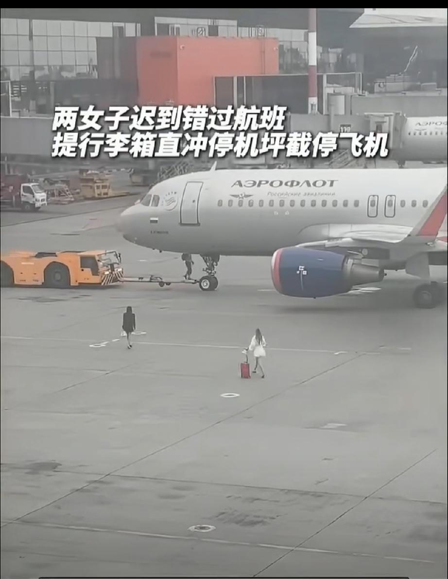 两名女子迟到误了航班，竟拎着行李擅自闯进停机坪拦停飞机，怕是把民航客机当成招手即