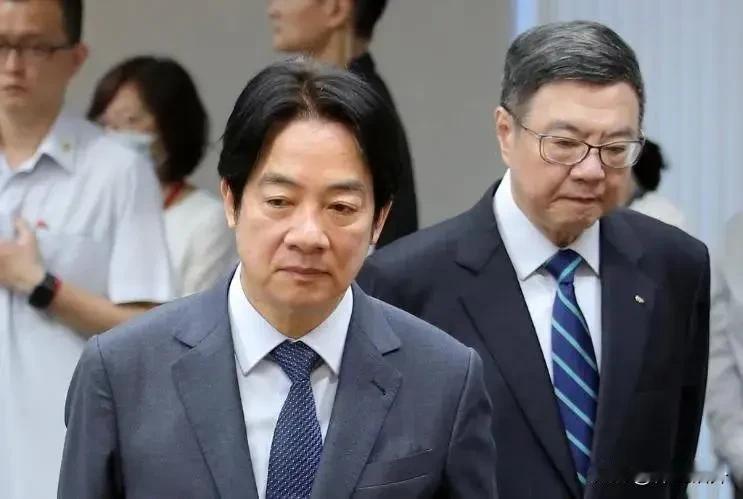 赖清德满意度大跌，这次是真的！在7月31日公布的两项民调包括美丽岛电子报和震