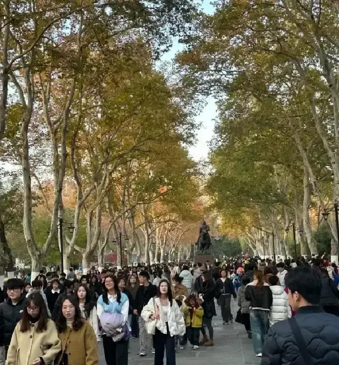 逍遥津公园周末被挤爆，本地人想遛弯都得排队。合肥人从小逛到大的老园子，突然成了