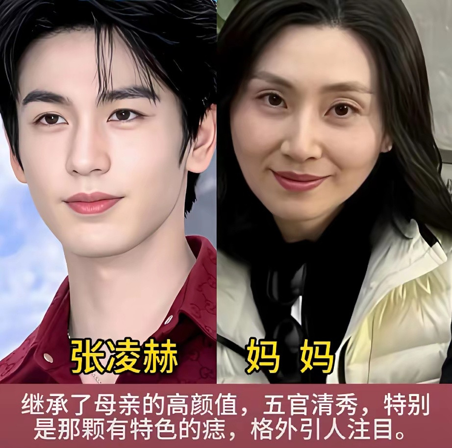 盘点娱乐圈这些男星，简直是妈妈的复刻版娱乐圈里好多男明星颜值出众，仔细一看会发